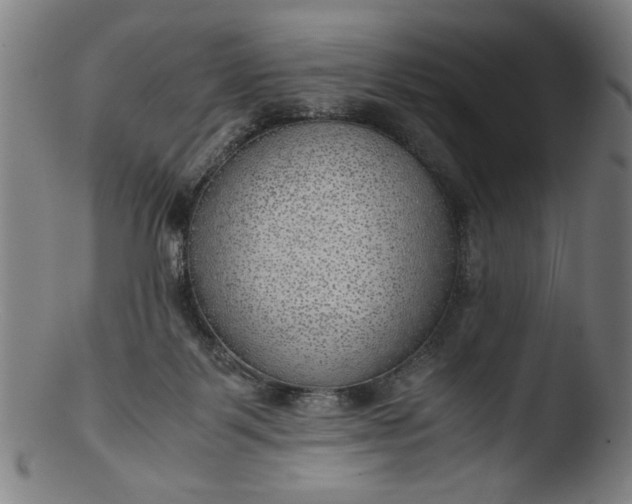 X0000103410123200809261652