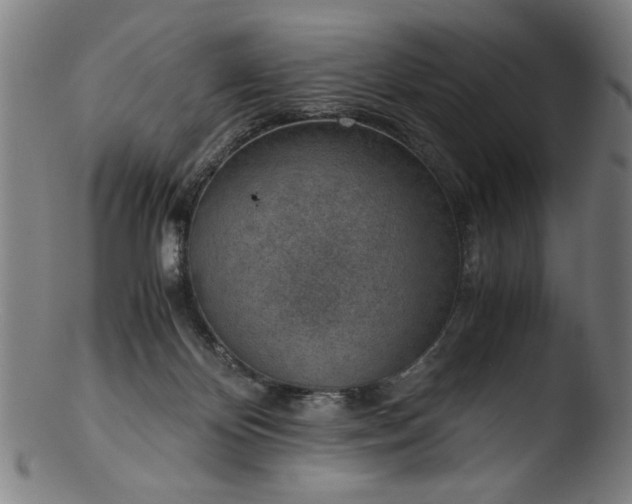 X0000103410124200809261652