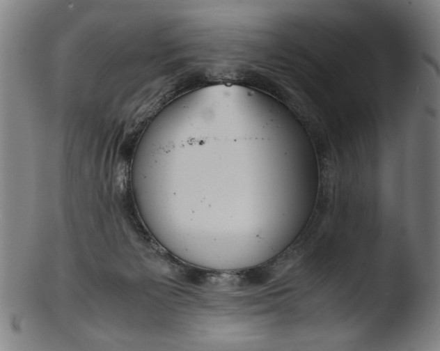 X0000103410125200809261652