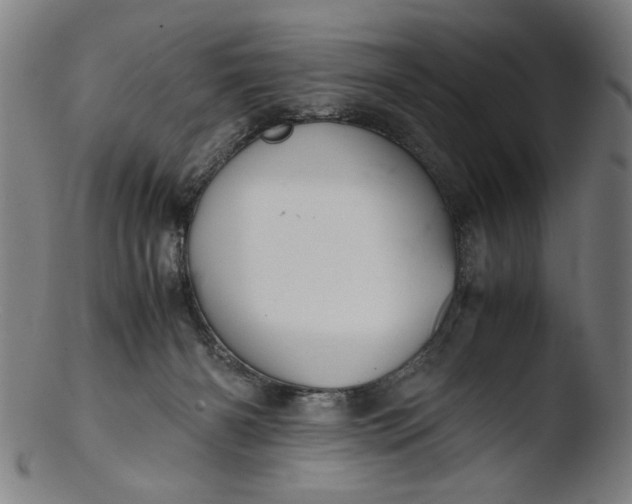 X0000103410126200809261652