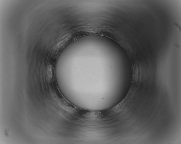 X0000103410128200809261652