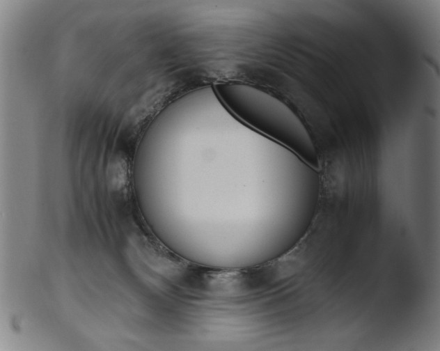 X0000103410132200809261652