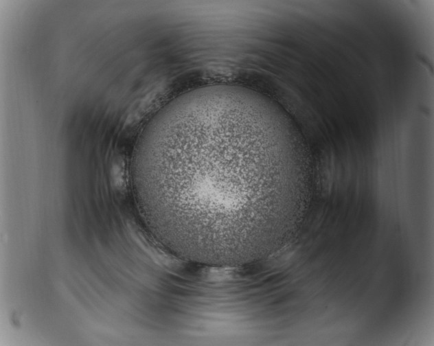 X0000103410134200809261652