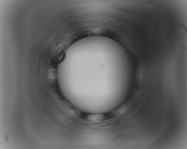 X0000103410135200809261652