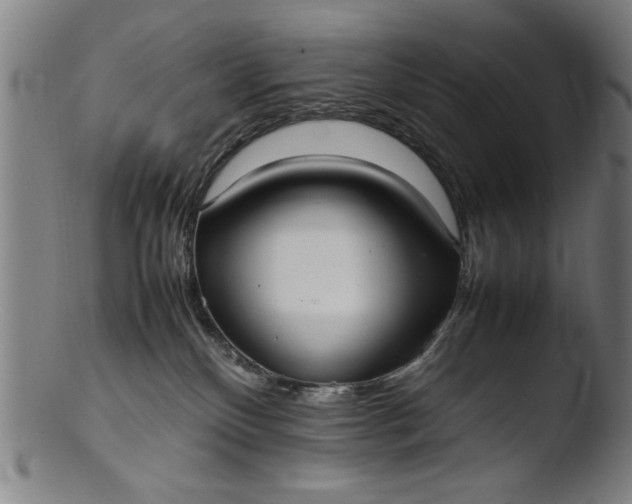 X0000103410136200809261652