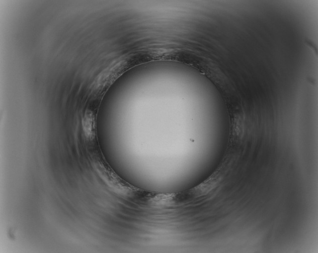 X0000103410138200809261652