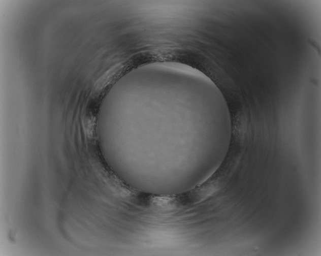 X0000103410139200809261652