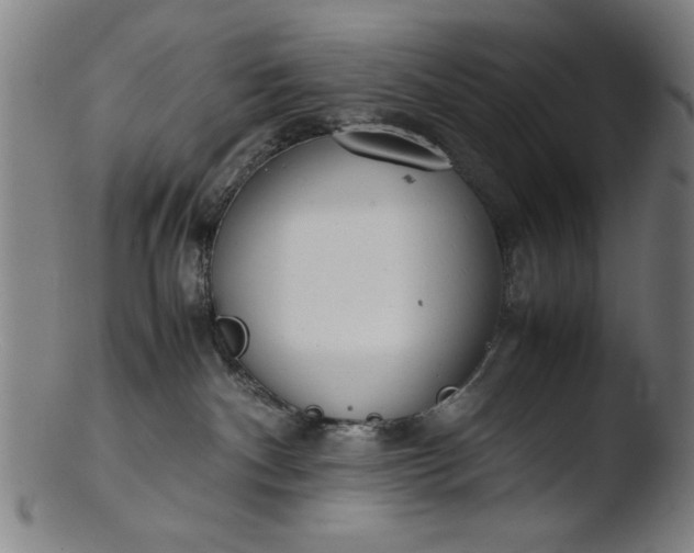 X0000103410140200809261652