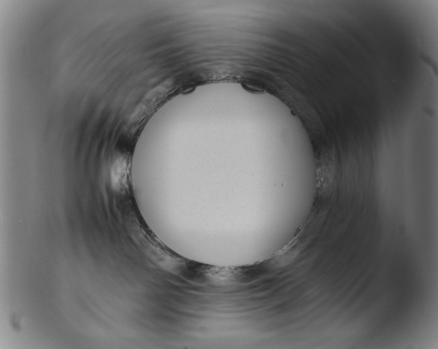 X0000103410142200809261652