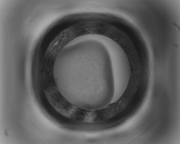 X0000103410143200809261652