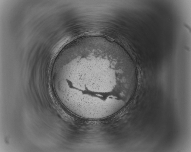 X0000103410145200809261651