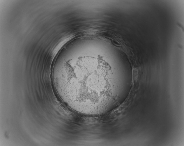 X0000103410147200809261651