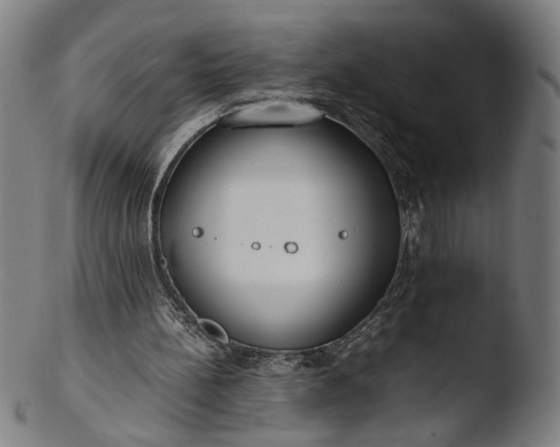 X0000103410148200809261651