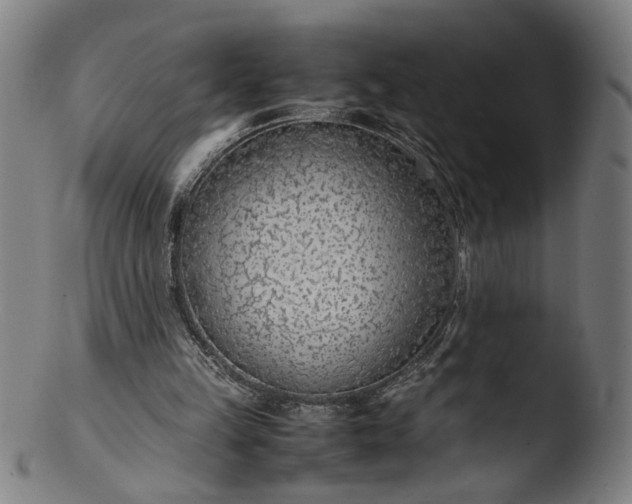 X0000103410149200809261652