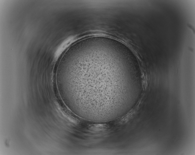 X0000103410151200809261652