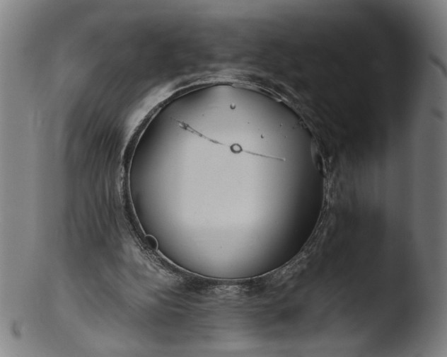 X0000103410152200809261652