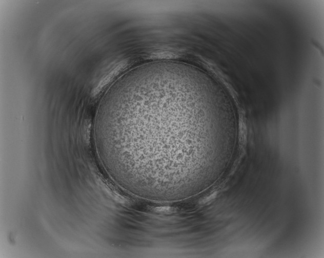 X0000103410153200809261652