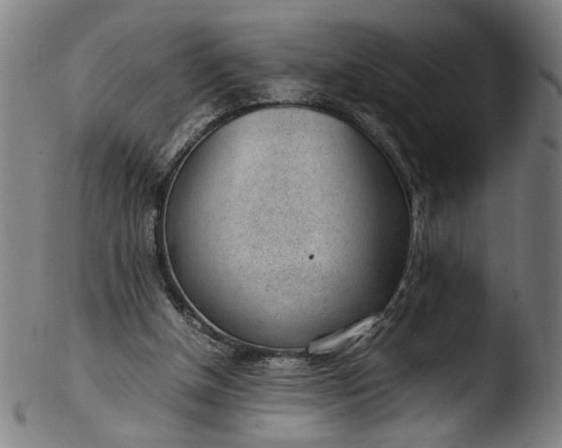 X0000103410154200809261652