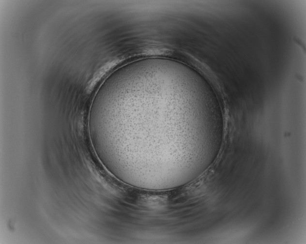 X0000103410155200809261652