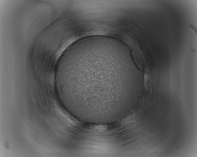 X0000103410156200809261652