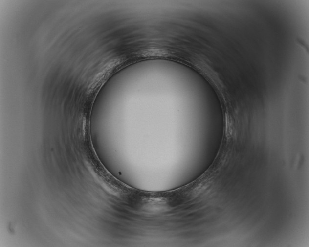 X0000103410157200809261652