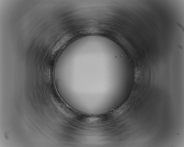 X0000103410158200809261652