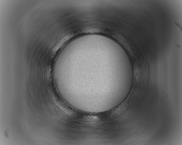 X0000103410159200809261652