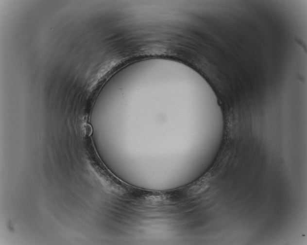 X0000103410160200809261652