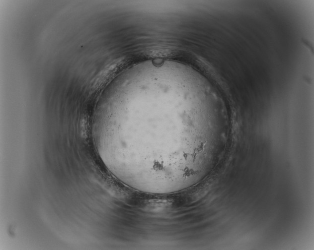 X0000103410161200809261652