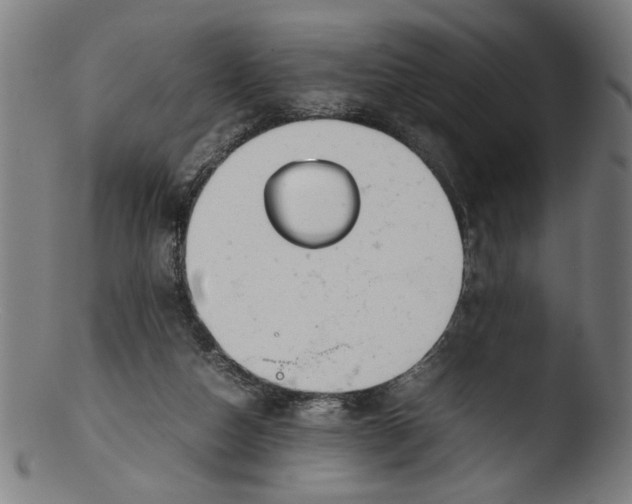 X0000103410162200809261652