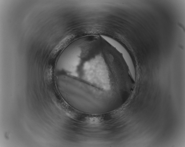 X0000103410163200809261652