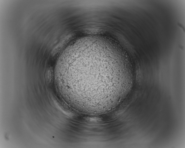 X0000103410165200809261652