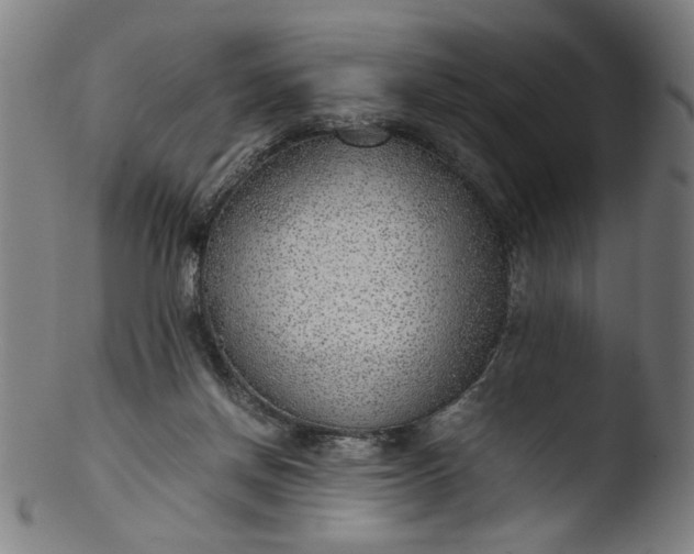 X0000103410166200809261652