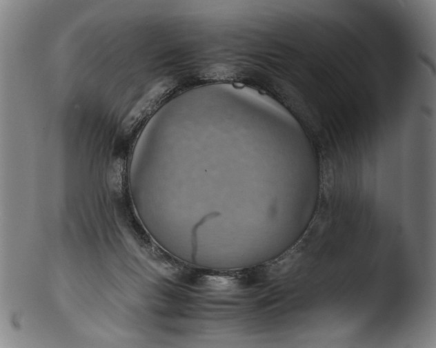 X0000103410167200809261652