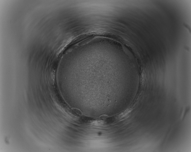 X0000103410168200809261652