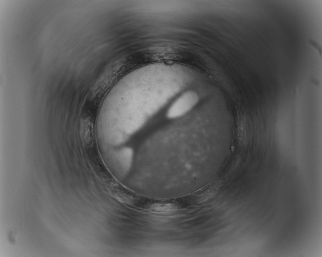 X0000103410169200809261652