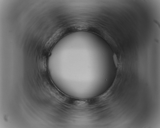 X0000103410170200809261652