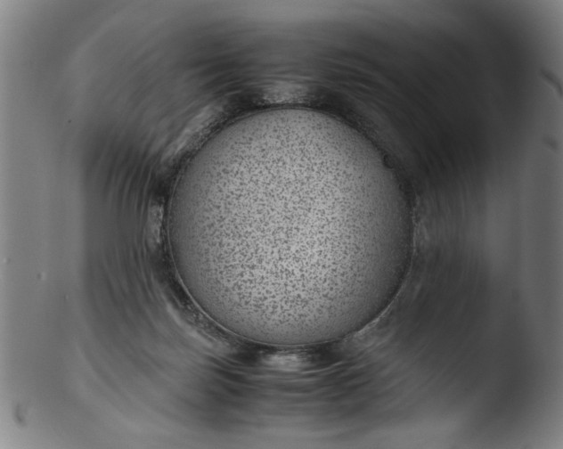 X0000103410171200809261652