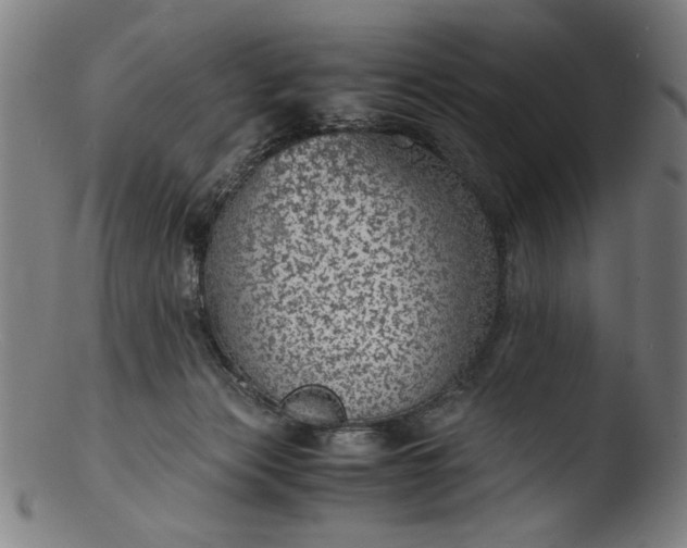 X0000103410173200809261652