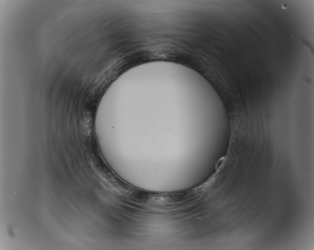 X0000103410174200809261652