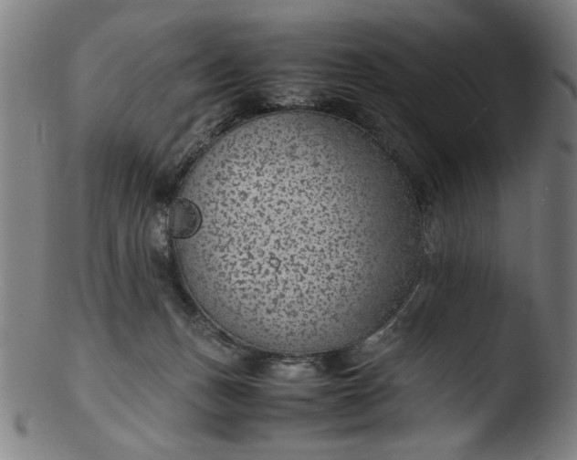 X0000103410175200809261652