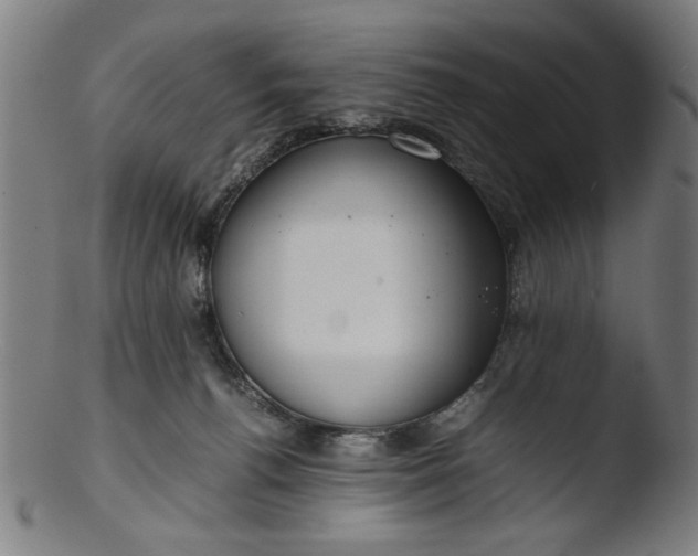 X0000103410176200809261652