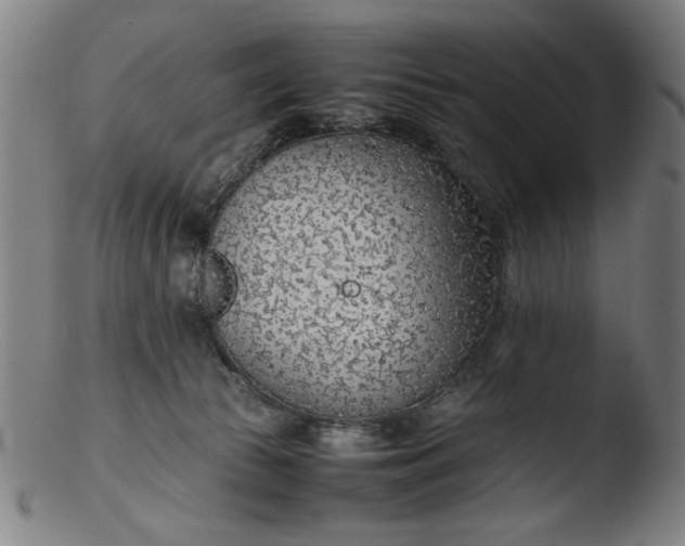 X0000103410177200809261652