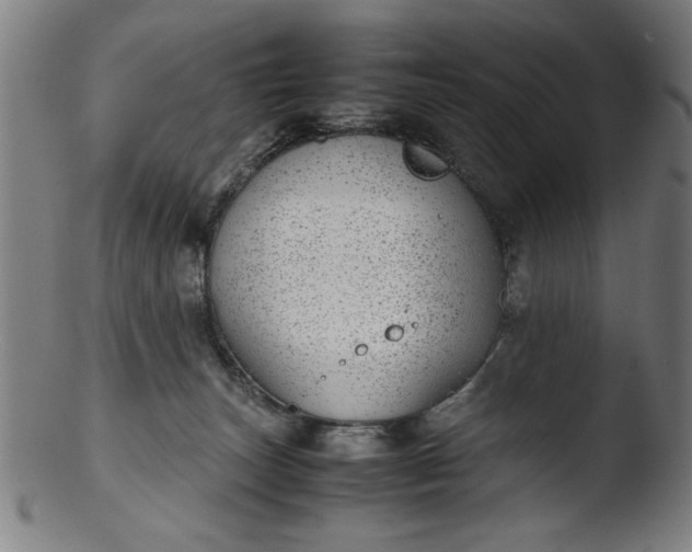 X0000103410179200809261652