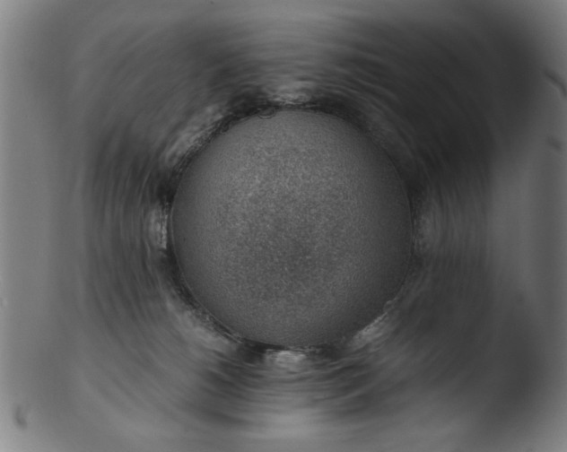 X0000103410180200809261652