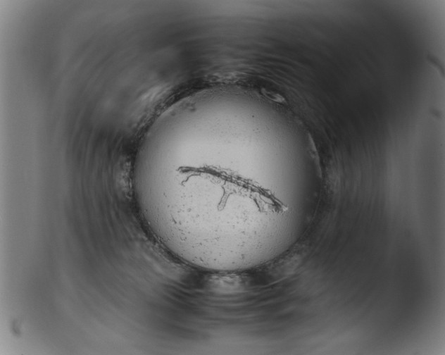 X0000103410181200809261652