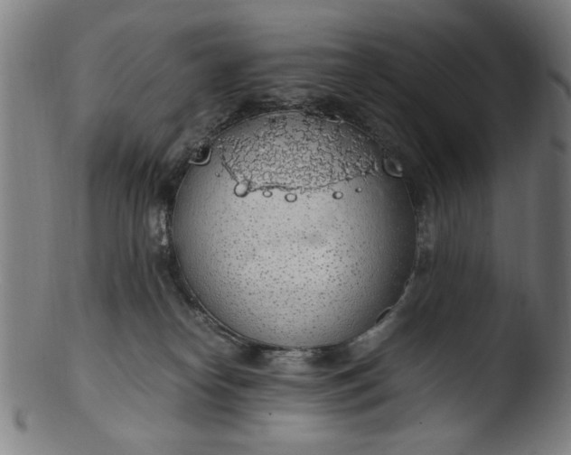 X0000103410182200809261652