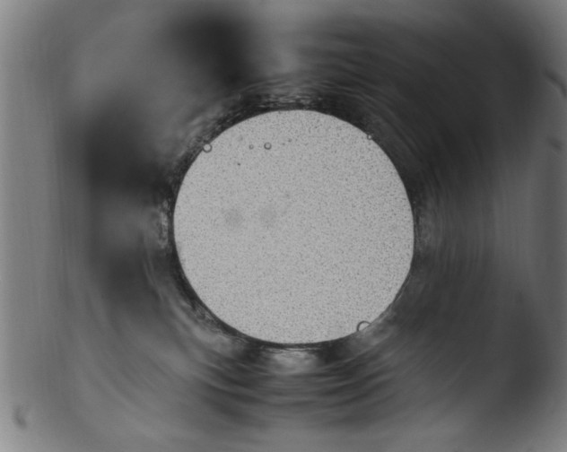 X0000103410183200809261652