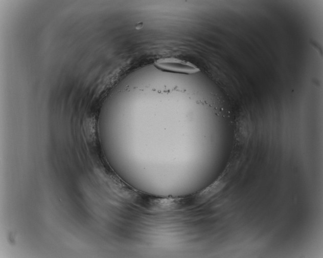 X0000103410184200809261652