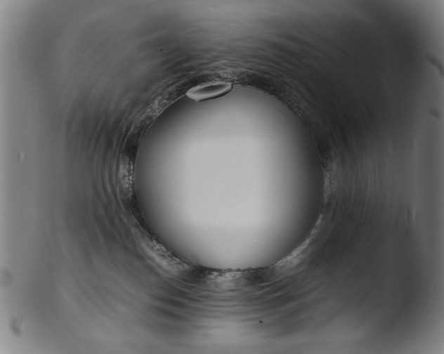 X0000103410186200809261652